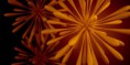 /album/abstraktni-3d-grafika/a3d-abstaction-of-artificial-plant-3-jpg/
